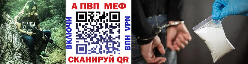 Альфа ПВП СК  Игра 